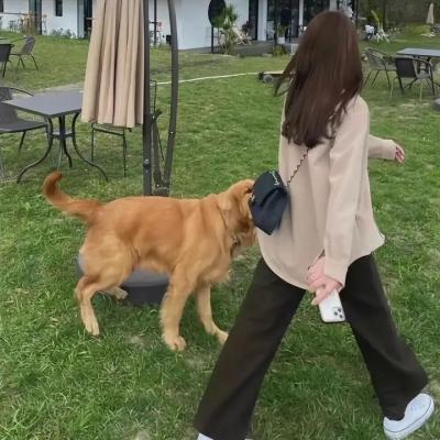 仙剑奇侠传2