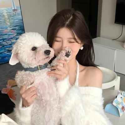 王朝4